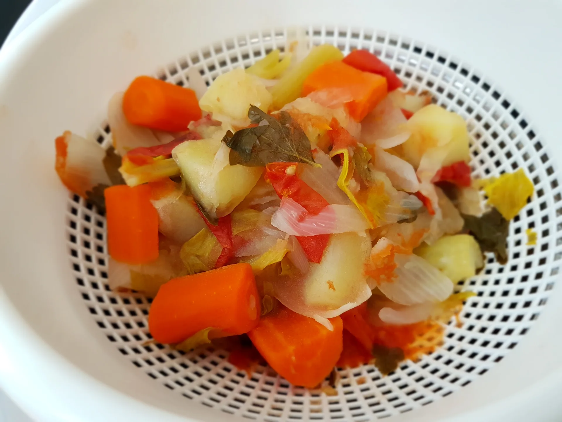 Brodo vegetale Bimby