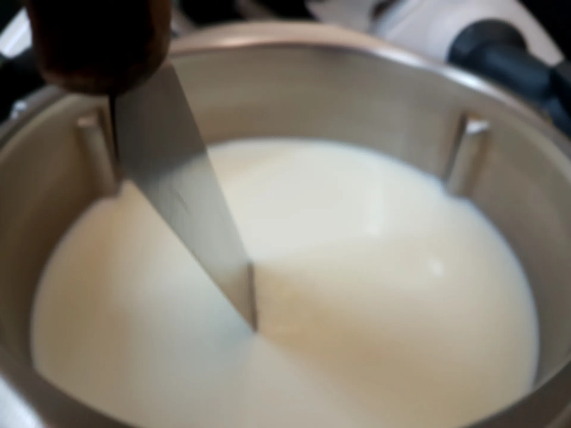 Formaggio primo sale Bimby