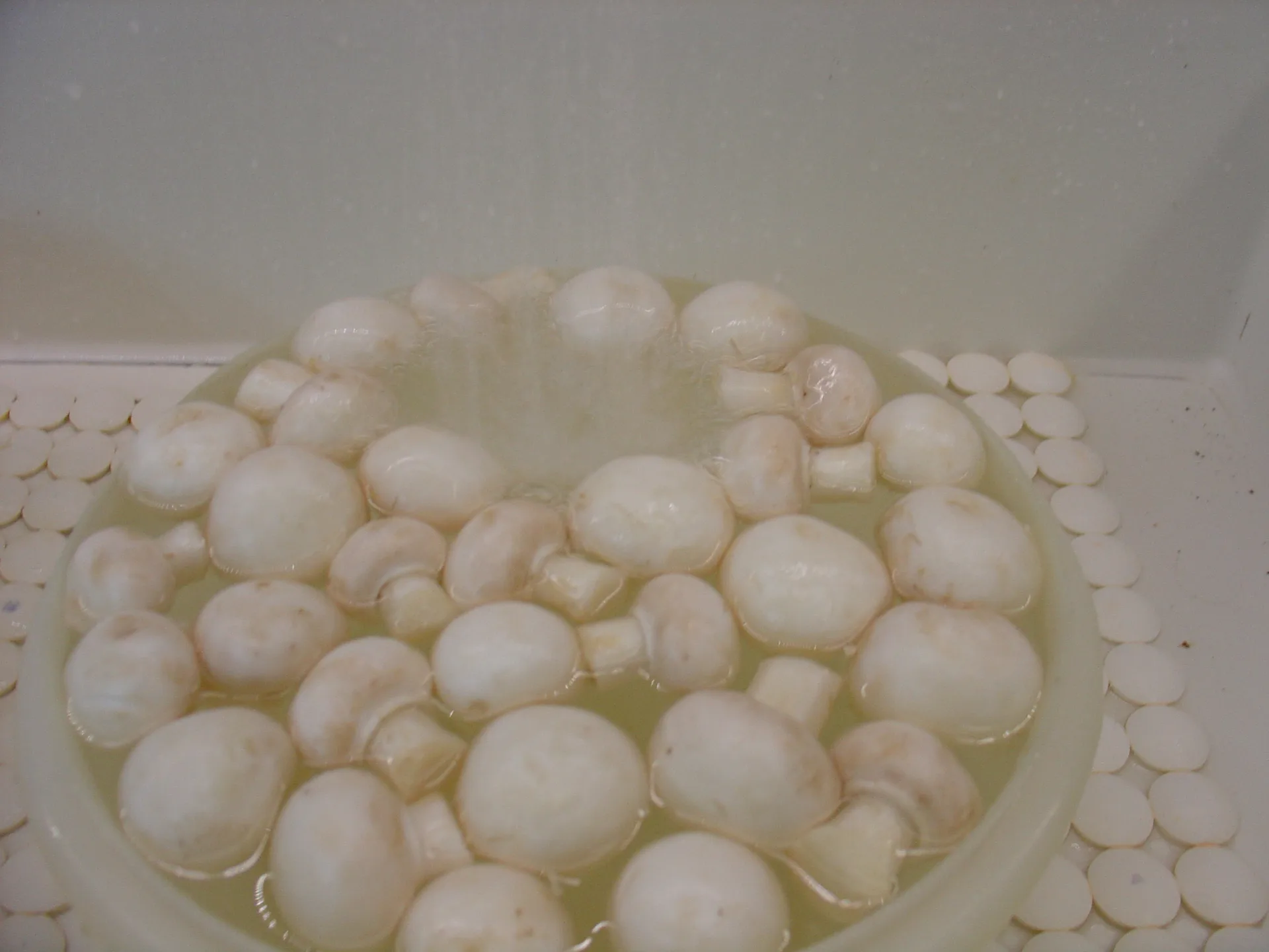 Fusilli con funghi pancetta e formaggio