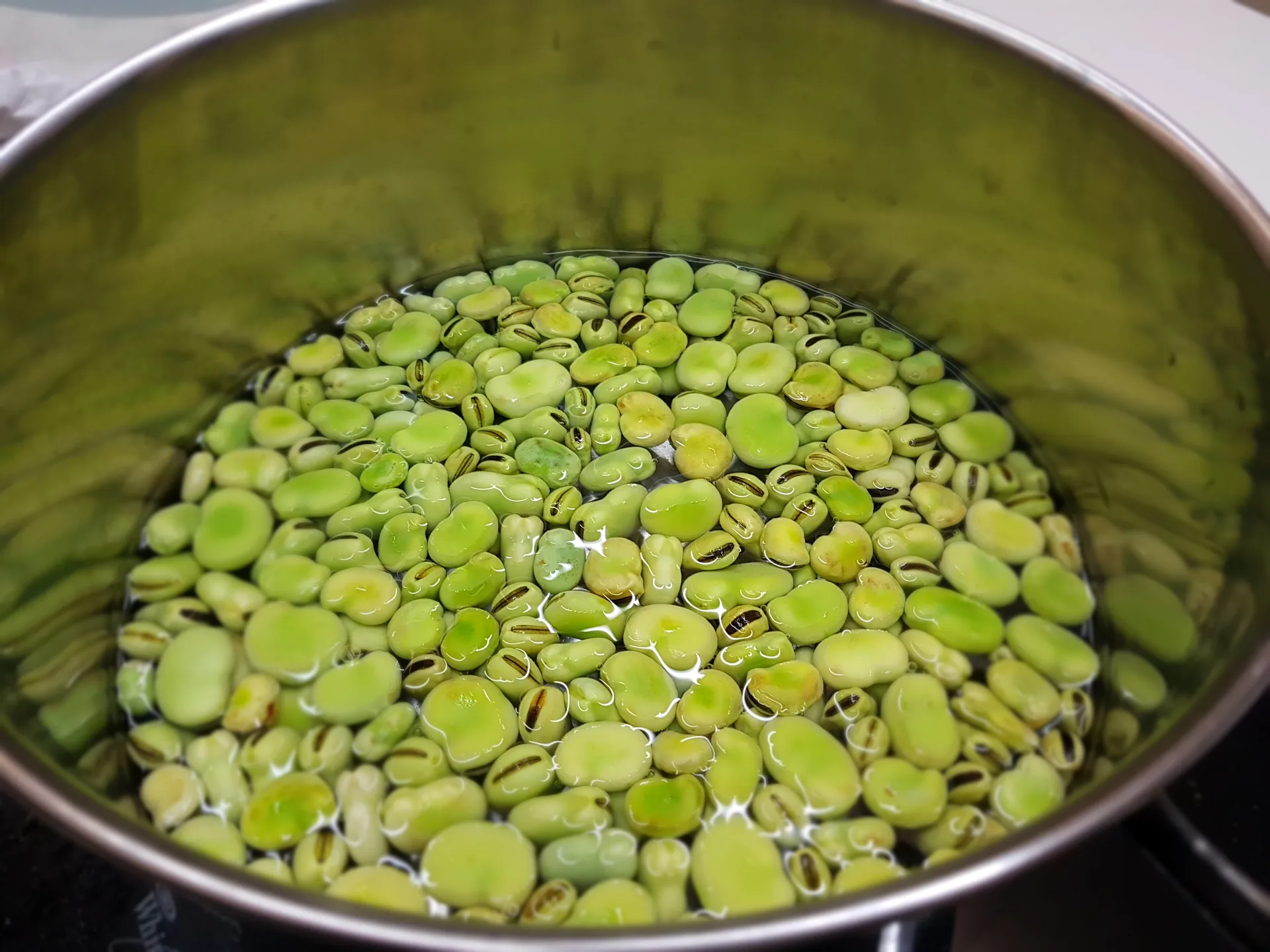 Garganelli con favetta e gamberetti