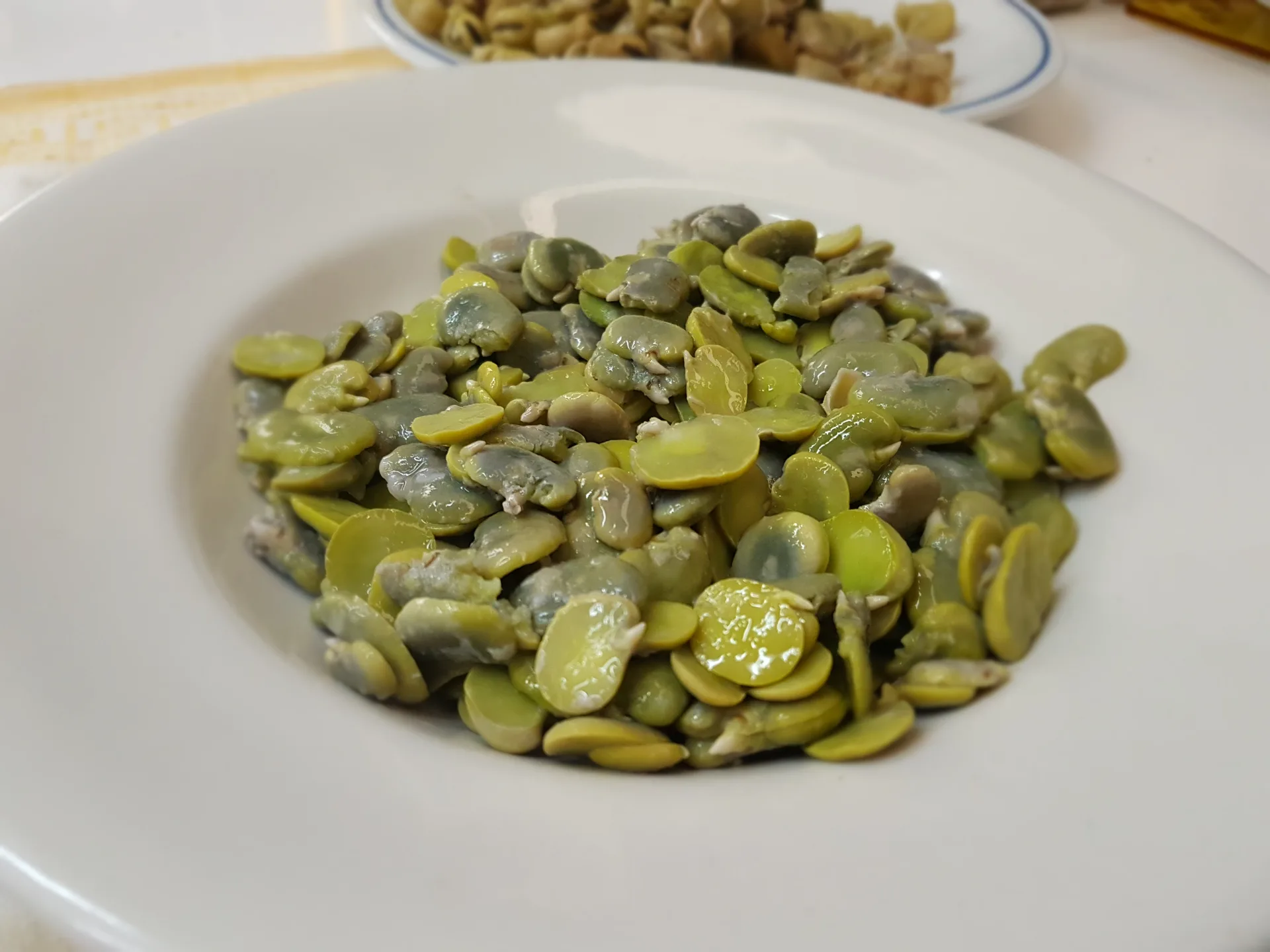 Garganelli con favetta e gamberetti