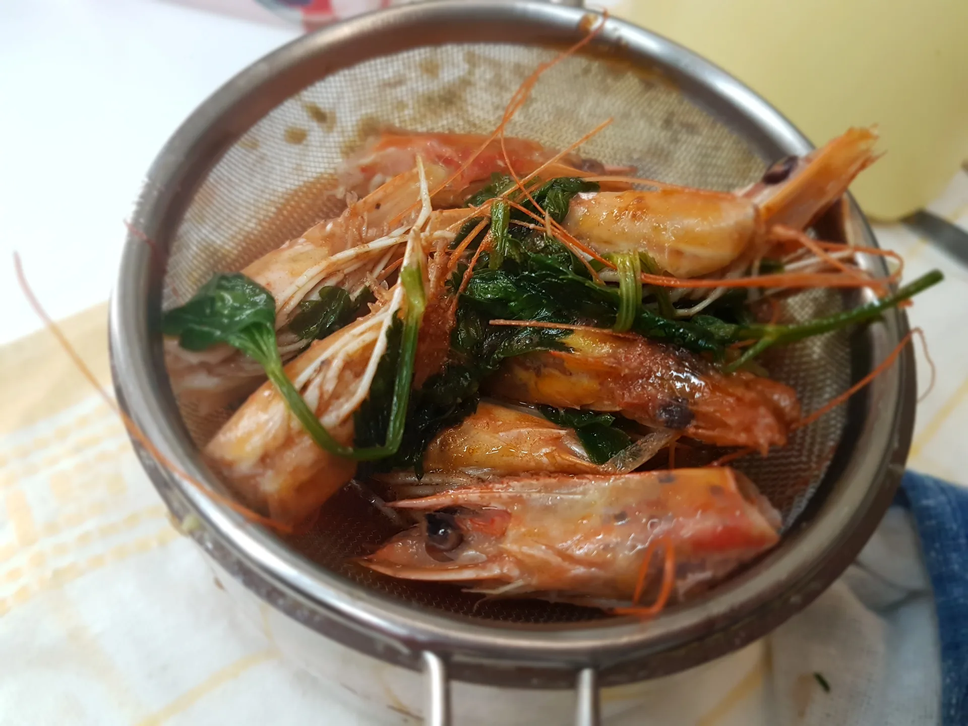 Garganelli con favetta e gamberetti