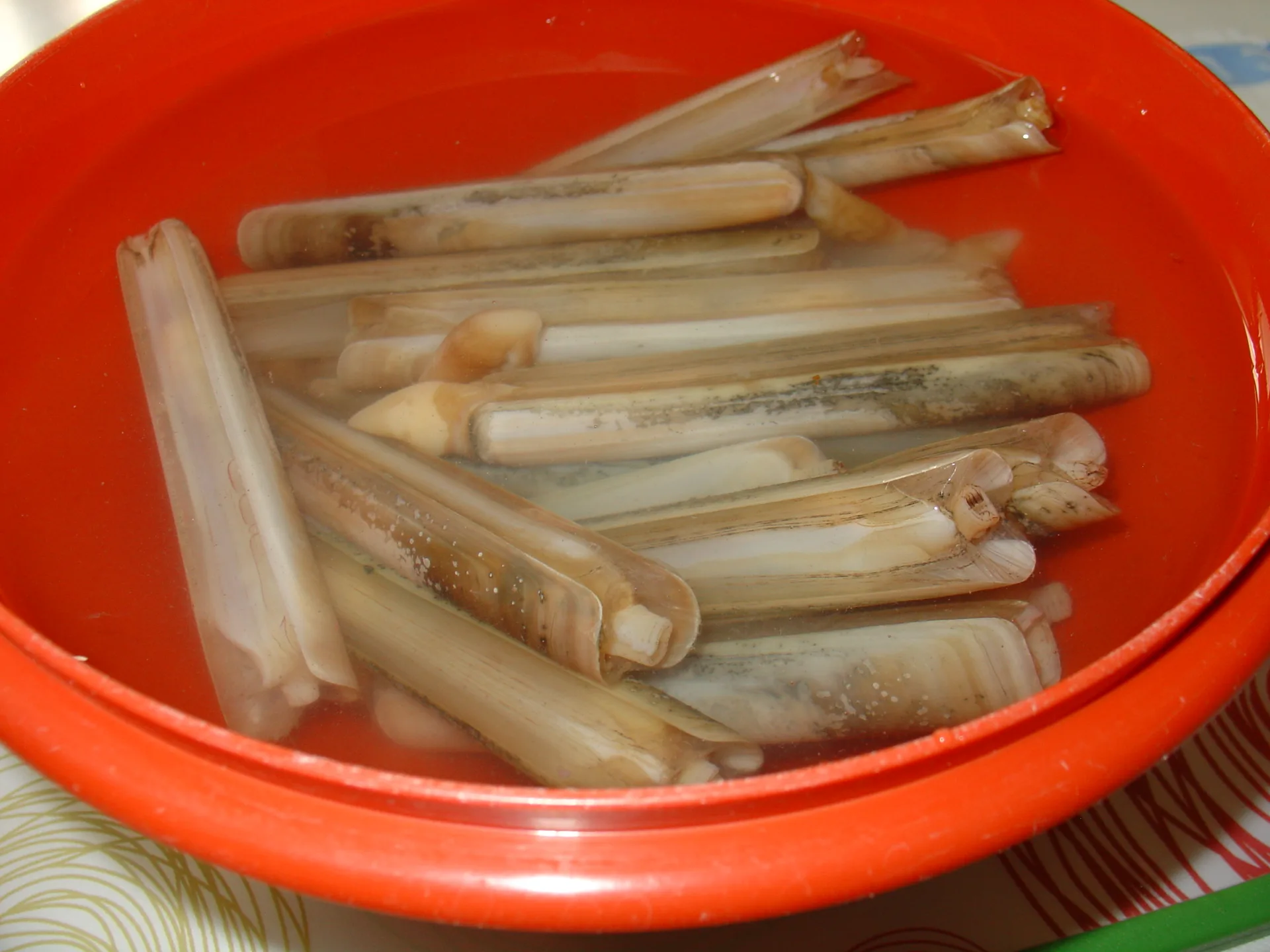 Linguine con ricci di mare e cannolicchi