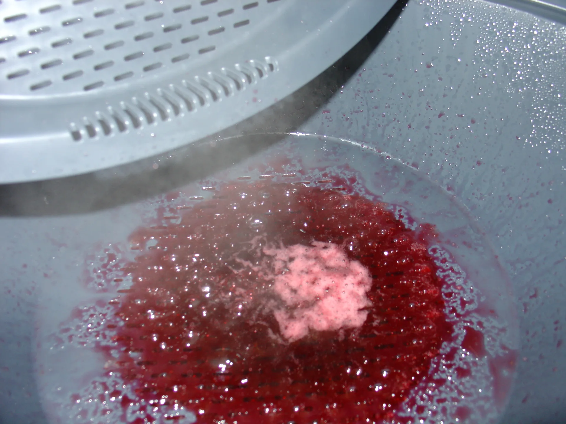 Marmellata di ciliege Bimby