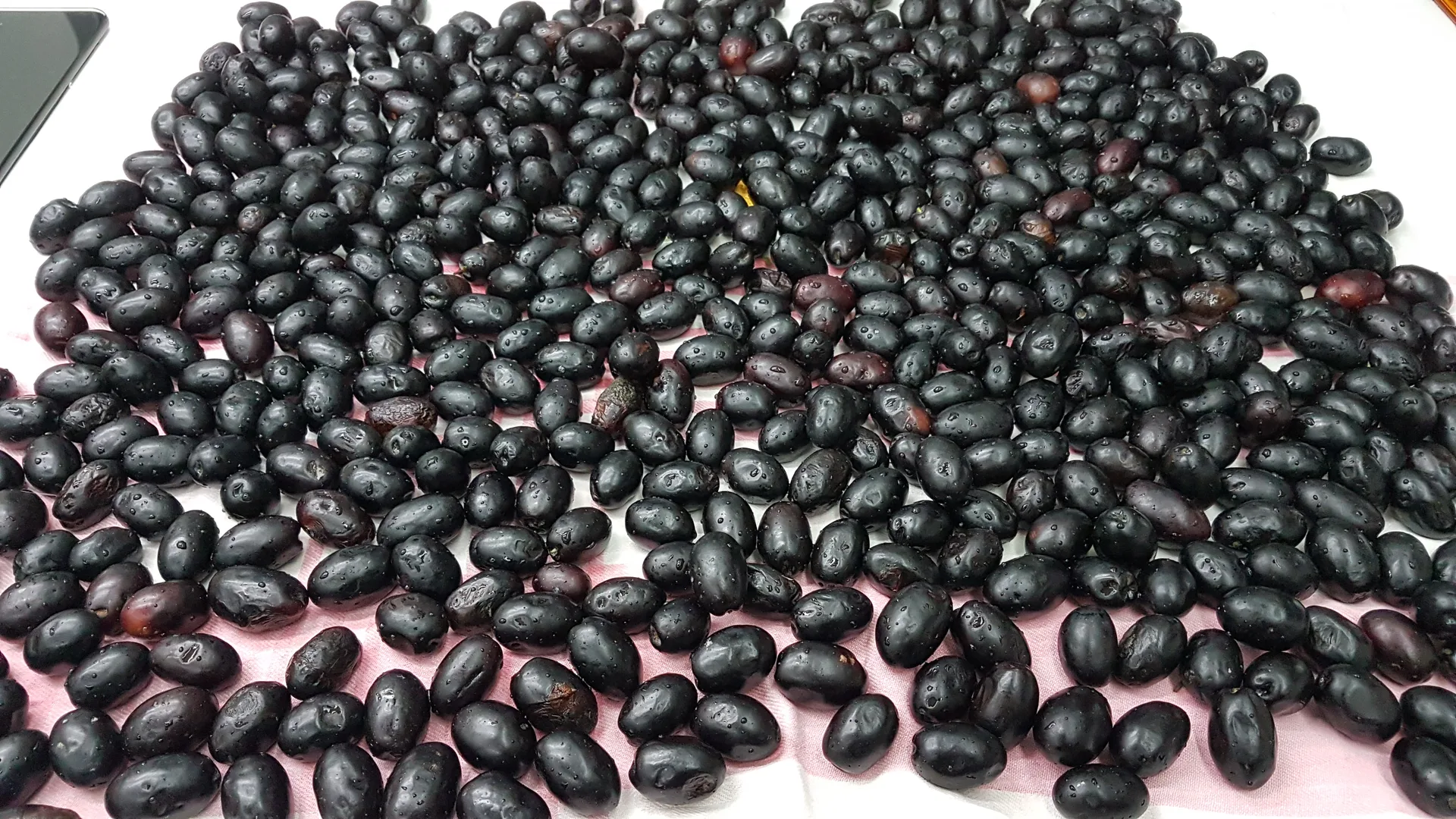 Olive nere sotto sale