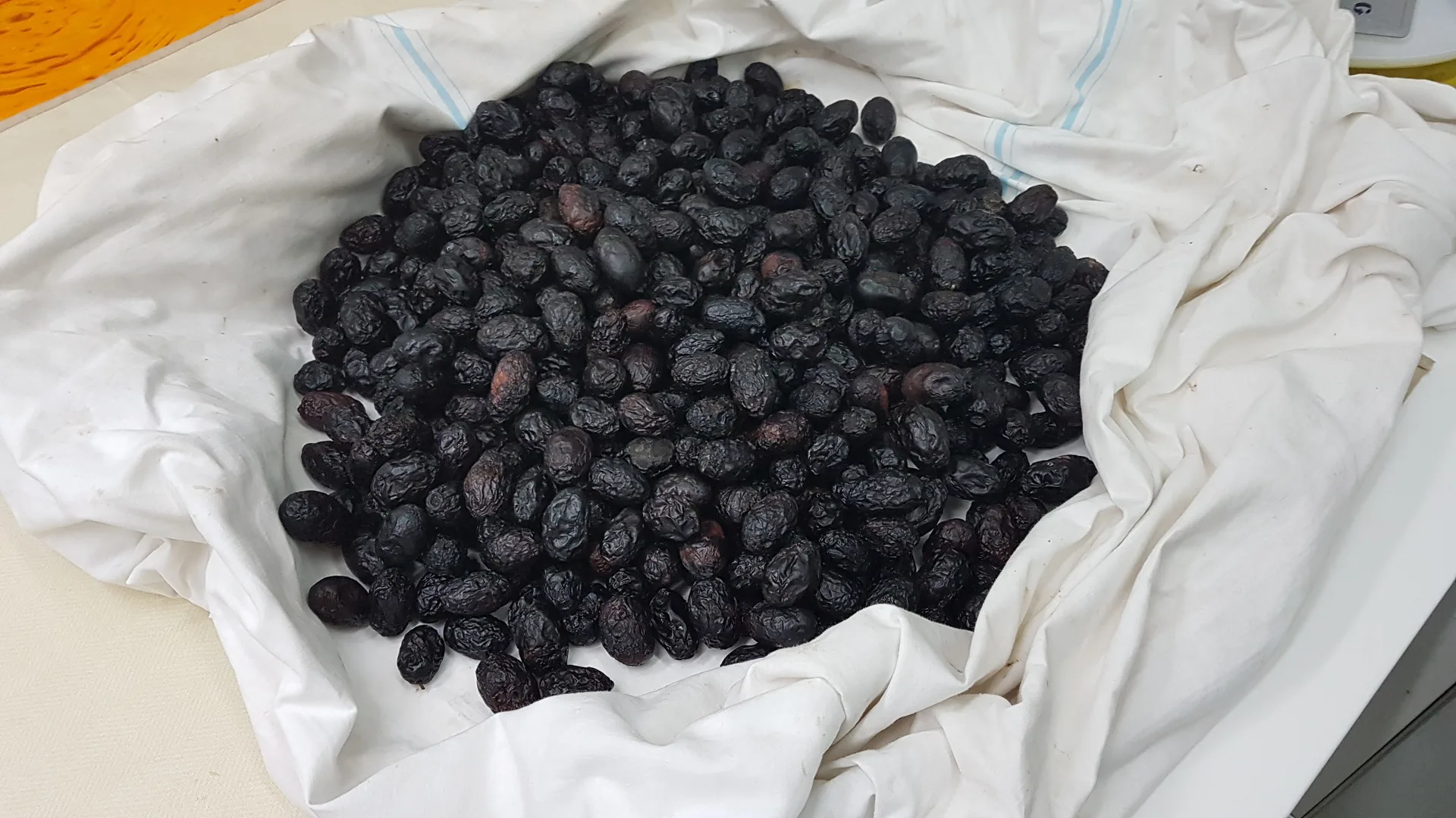 Olive nere sotto sale