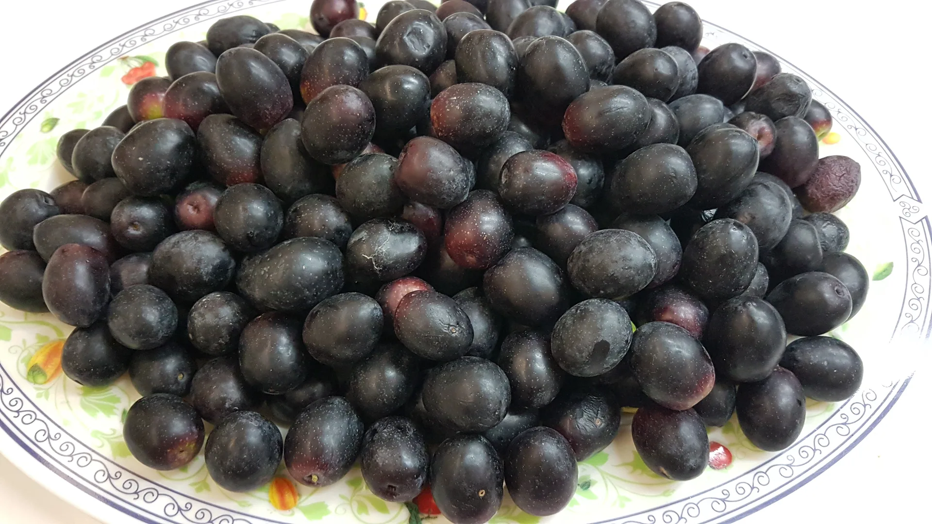 Olive Termite di Bitetto