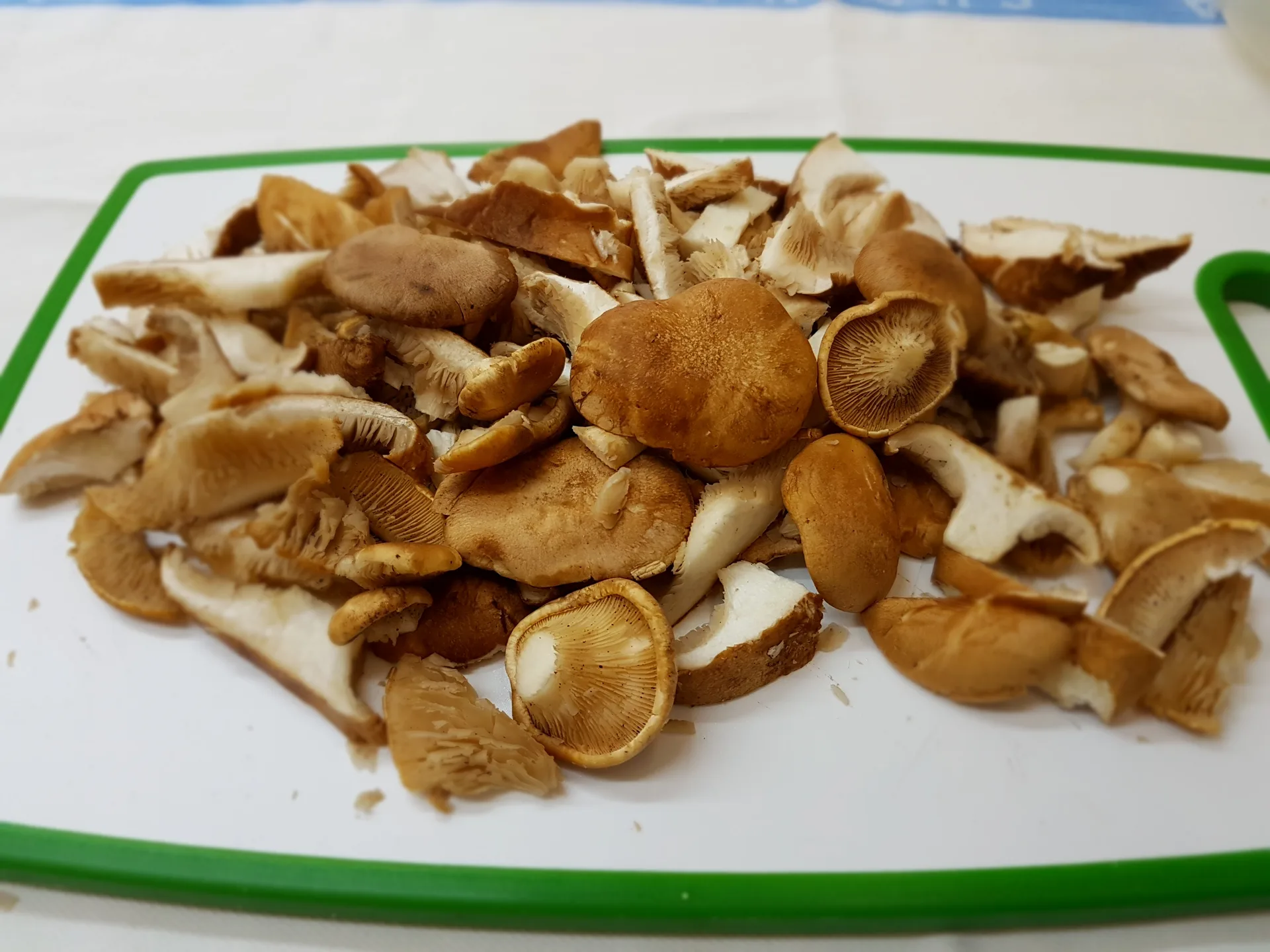 Orecchiette con ragù di cardoncelli e salsiccia piccante di Minervino