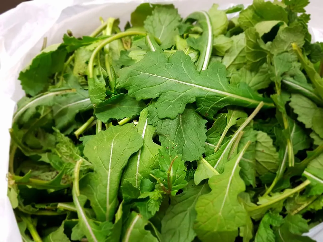 Orecchiette con sanapid al profumo di agrumi