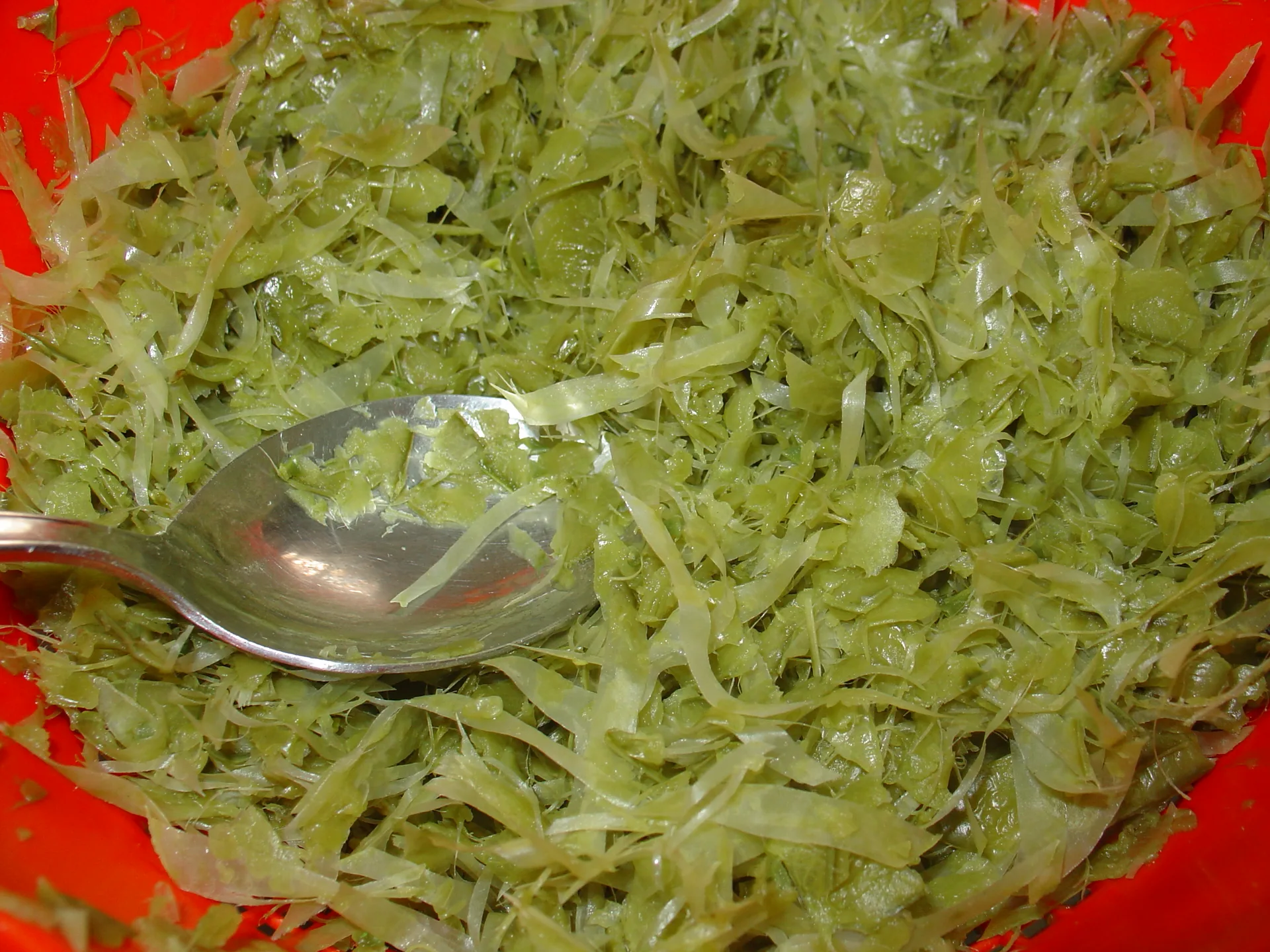 Pappardelle al pesto, con baccelli di piselli