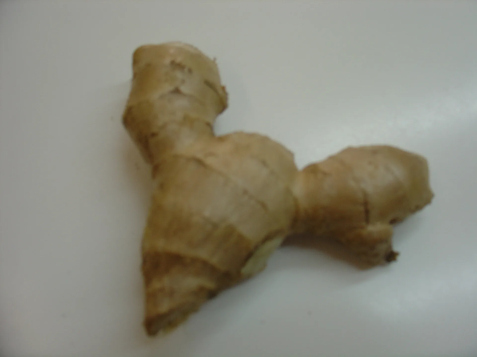 Penne crudaiola con funghi e zenzero