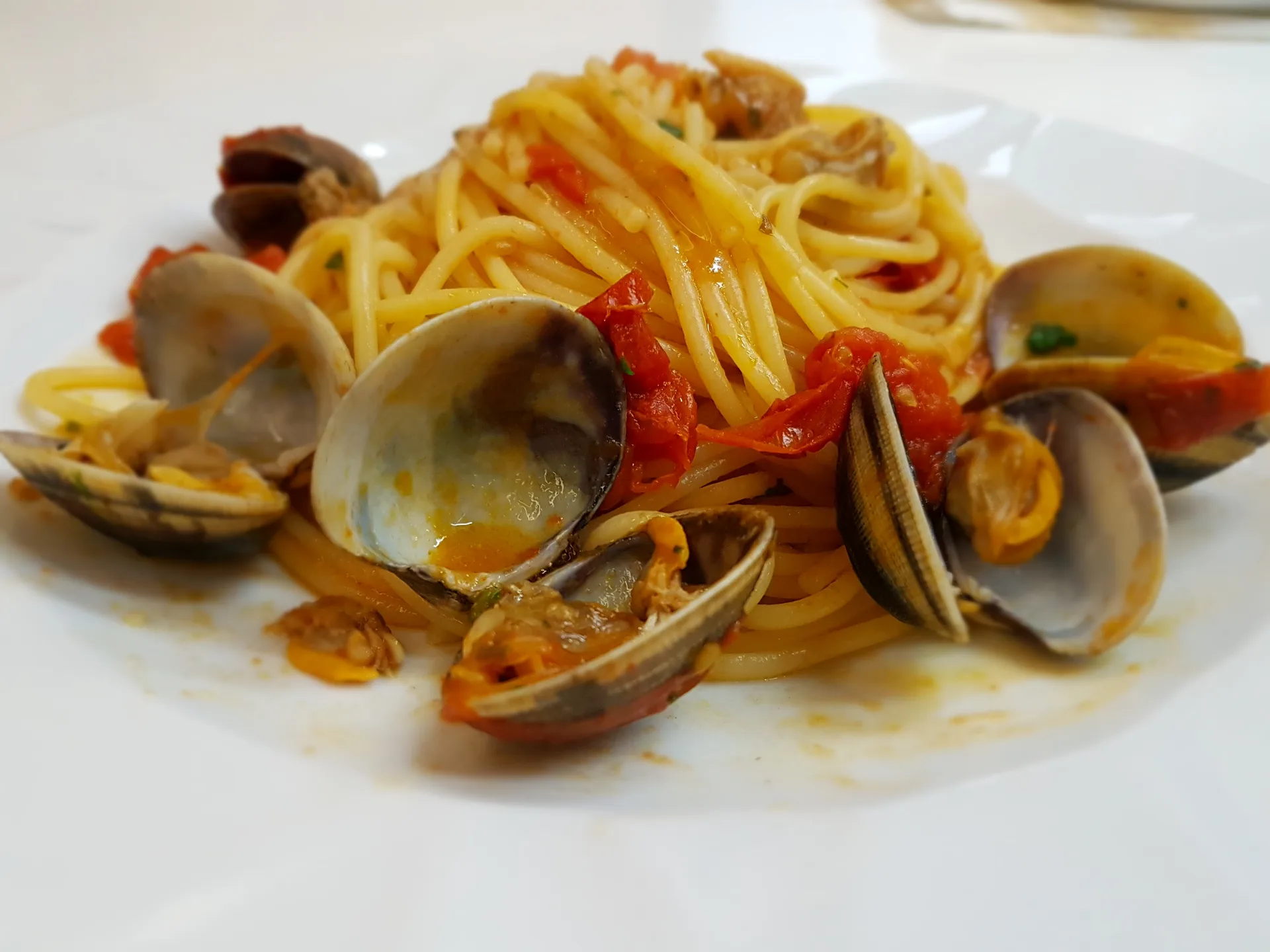 Spaghetti alle vongole