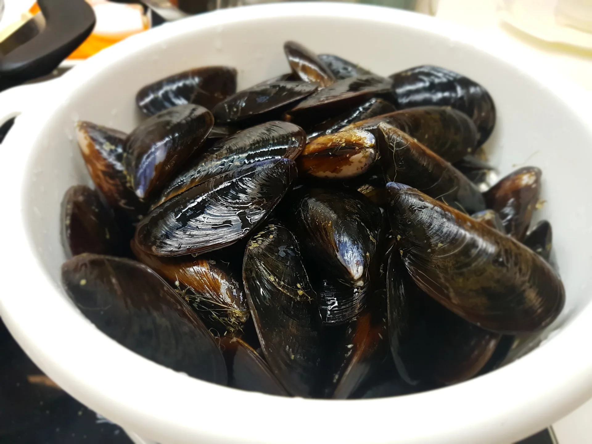 Spaghetti della scogliera