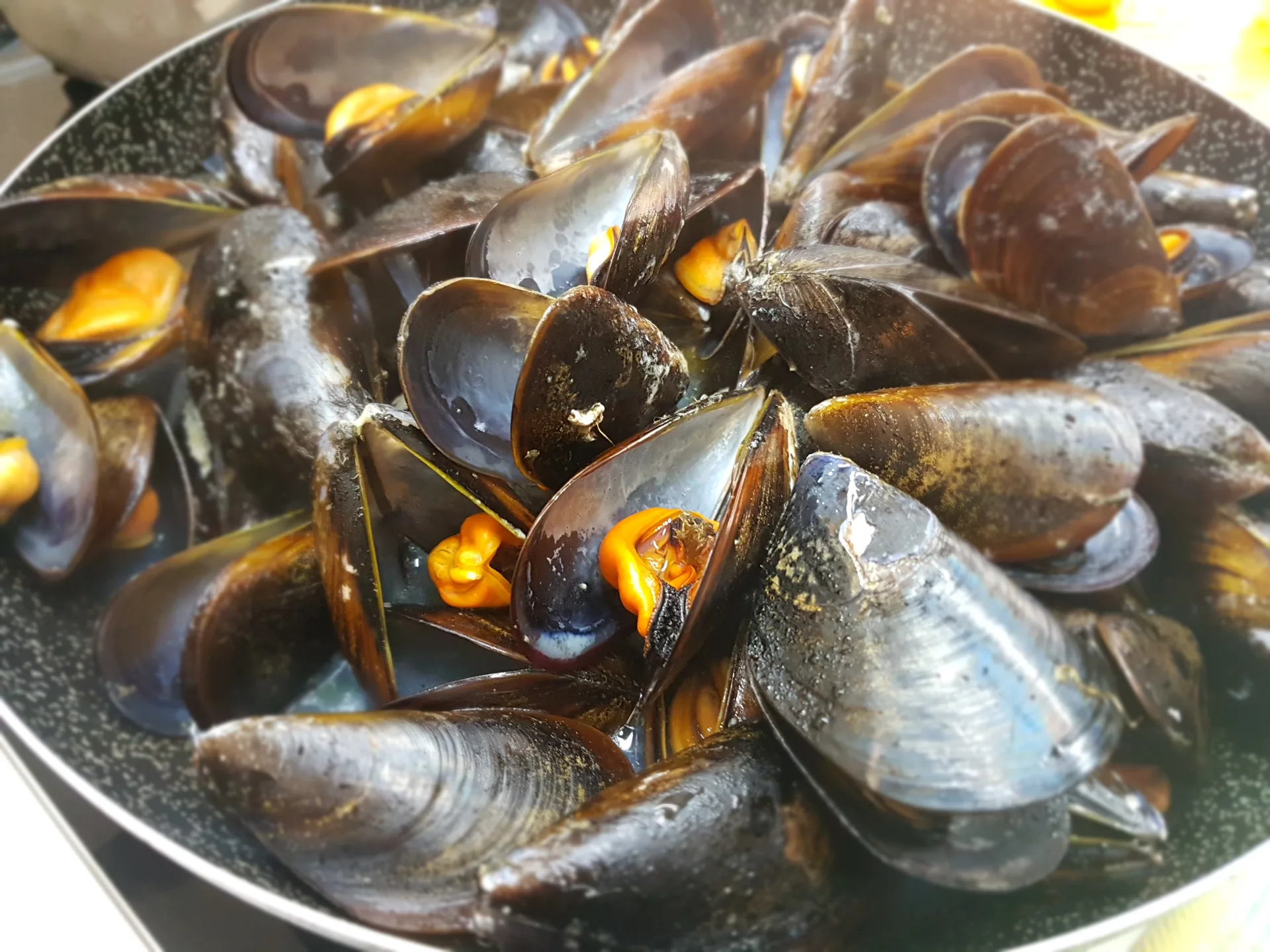 Spaghetti della scogliera