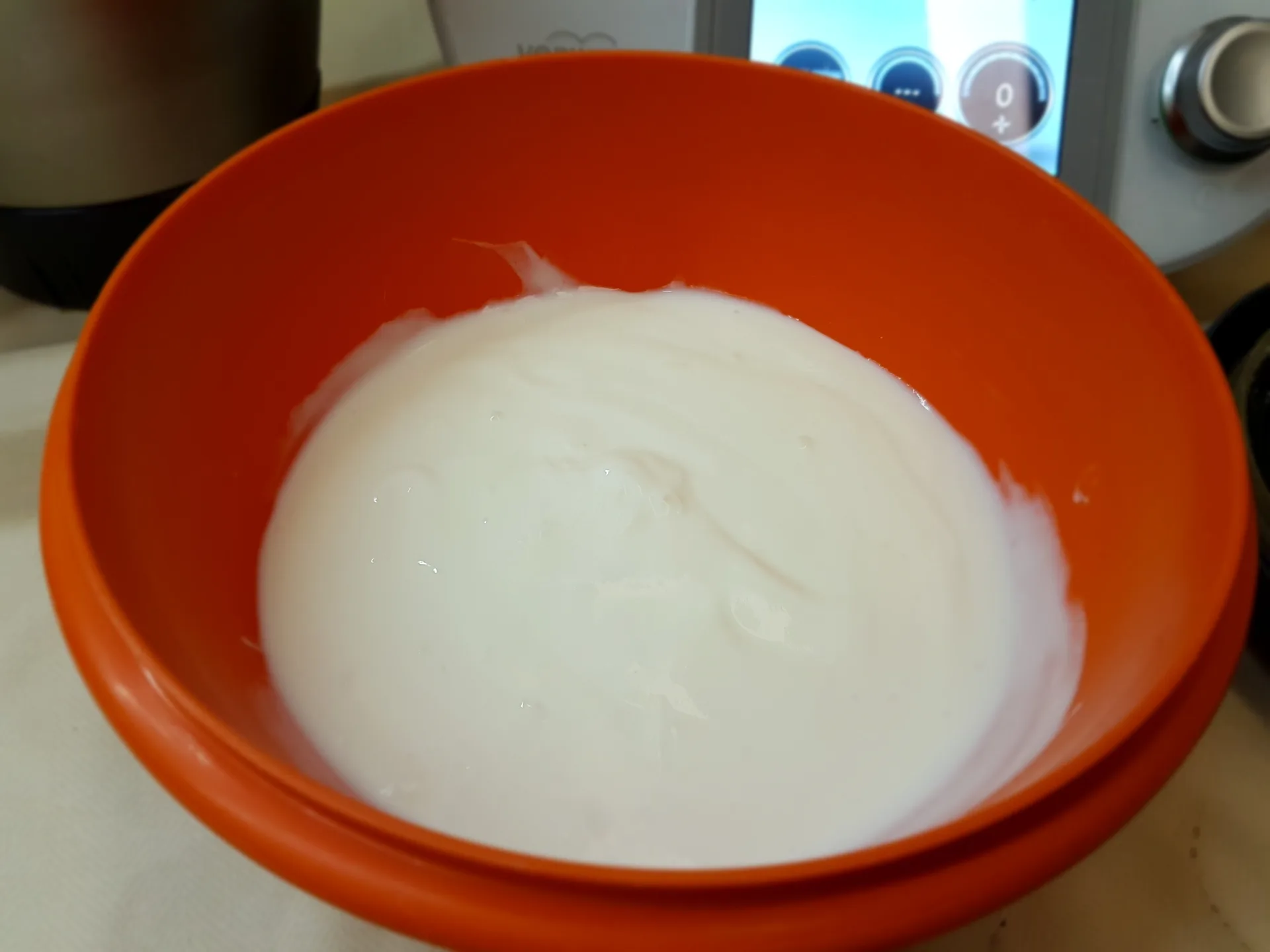 Yogurt bianco e yogurt alla frutta Bimby