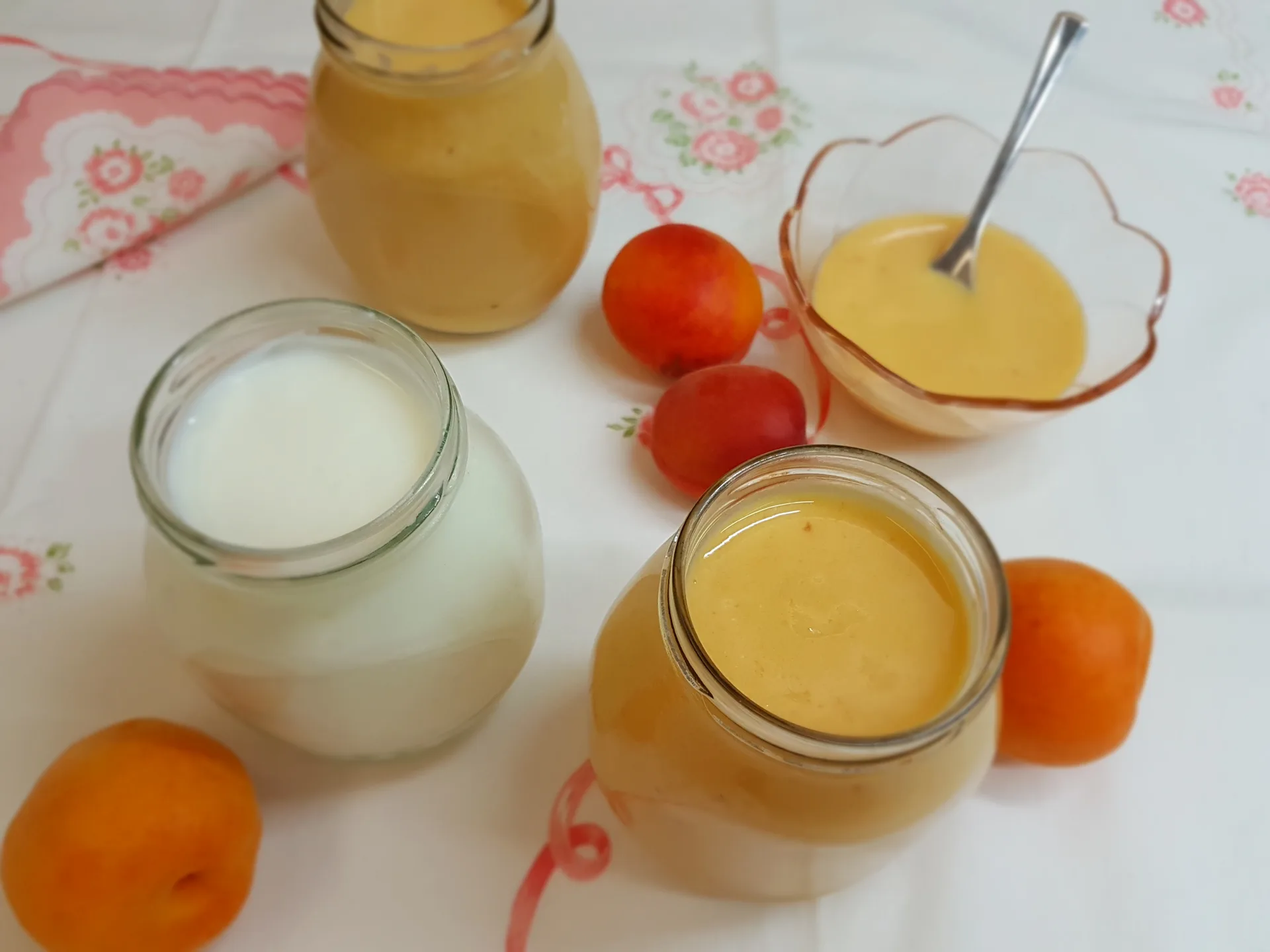 Yogurt bianco e yogurt alla frutta Bimby