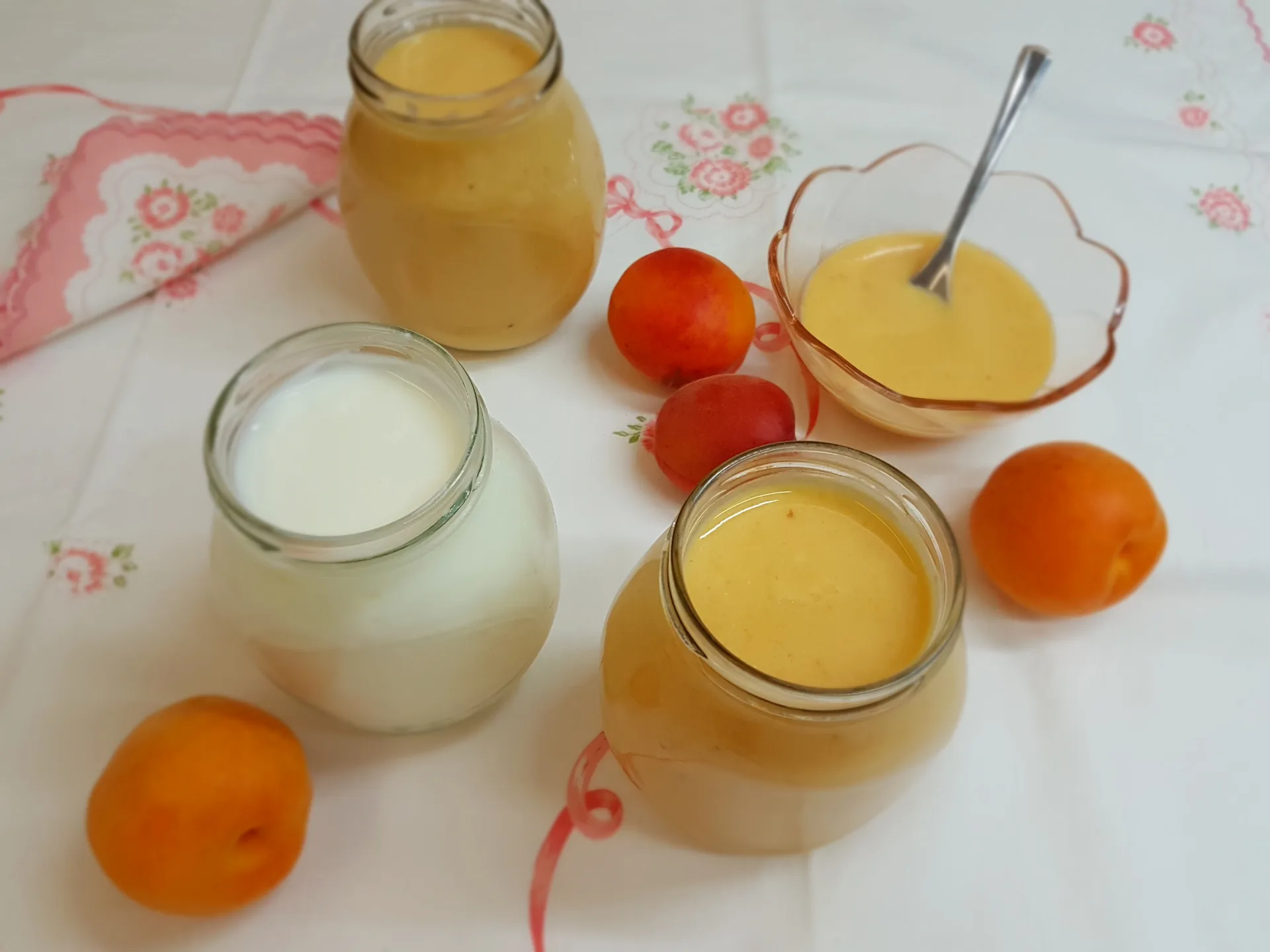 Yogurt bianco e yogurt alla frutta Bimby